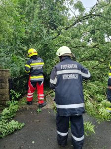 Read more about the article T07 – Unwetter – Baum über Straße